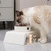 Elevated Pet Feeder with Double Stainless Steel Bowls – Cats & Dogs (Small–Large)