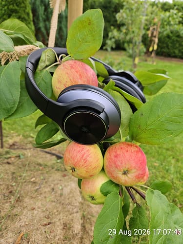 Black Oneodio headphones hanging in an apple tree